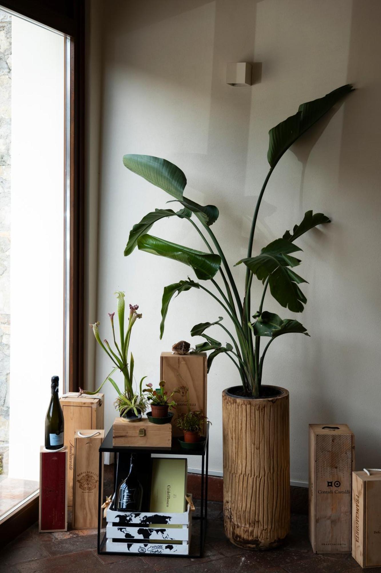 La Terrazza Sulle Vigne B&B คอร์เตฟรังกา ภายนอก รูปภาพ