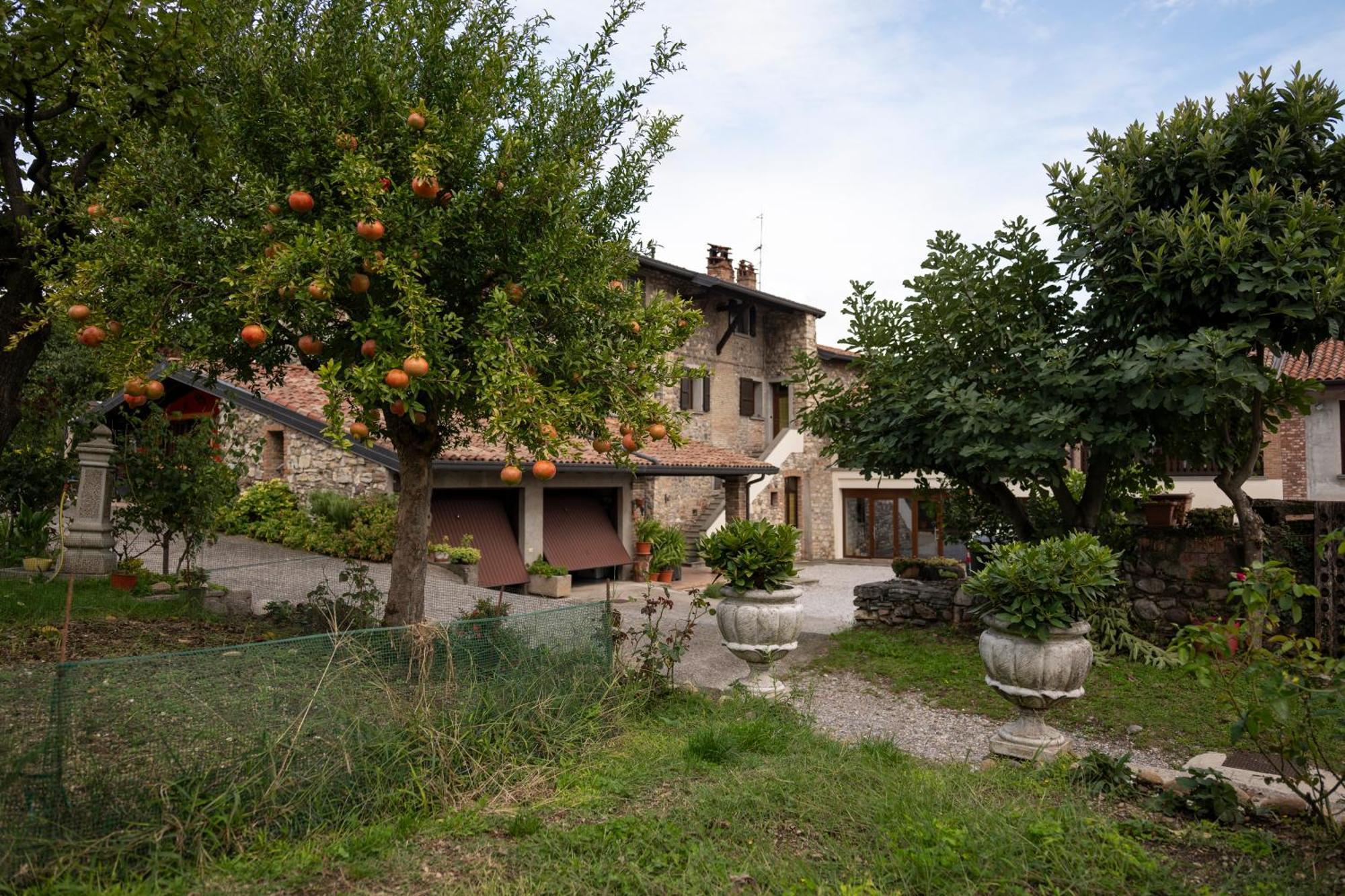 La Terrazza Sulle Vigne B&B คอร์เตฟรังกา ภายนอก รูปภาพ