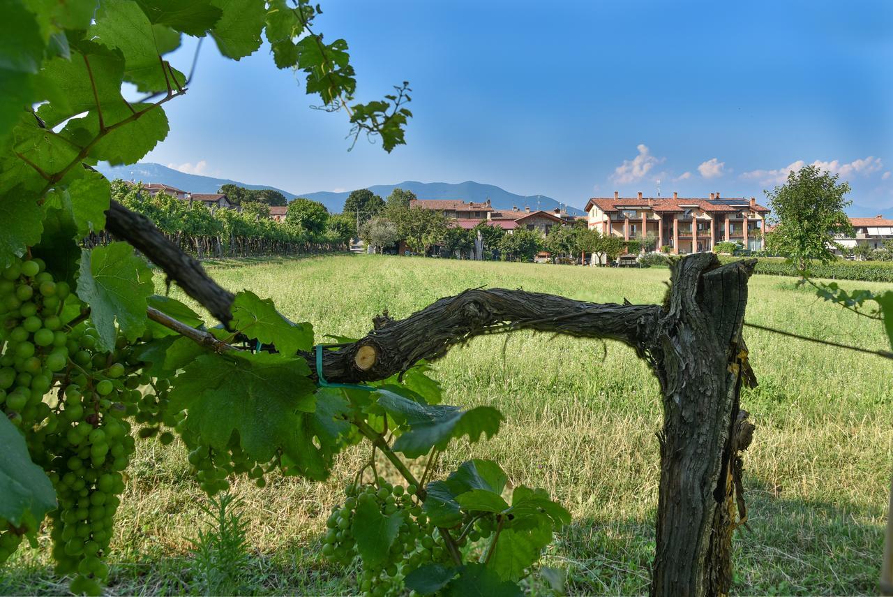 La Terrazza Sulle Vigne B&B คอร์เตฟรังกา ภายนอก รูปภาพ